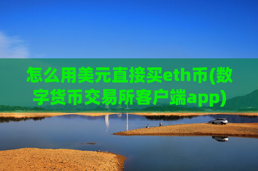 怎么用美元直接买eth币(数字货币交易所客户端app)