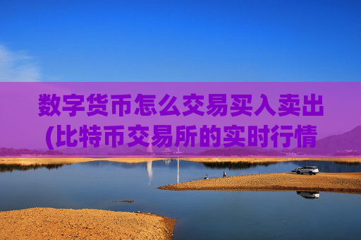数字货币怎么交易买入卖出(比特币交易所的实时行情)