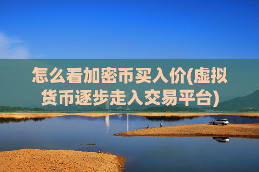 怎么看加密币买入价(虚拟货币逐步走入交易平台)
