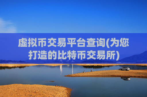 虚拟币交易平台查询(为您打造的比特币交易所)