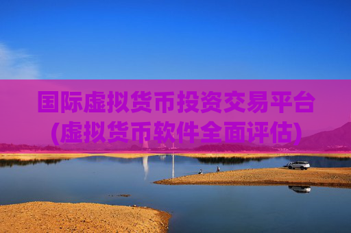 国际虚拟货币投资交易平台(虚拟货币软件全面评估)