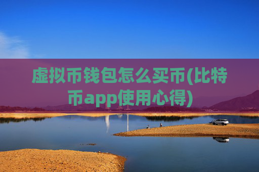 虚拟币钱包怎么买币(比特币app使用心得)