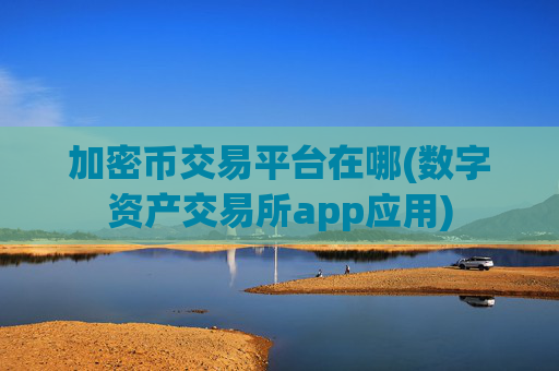 加密币交易平台在哪(数字资产交易所app应用)
