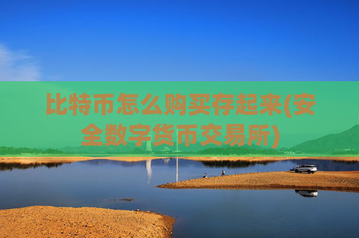 比特币怎么购买存起来(安全数字货币交易所)