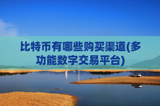 比特币有哪些购买渠道(多功能数字交易平台)