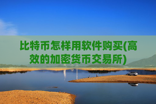 比特币怎样用软件购买(高效的加密货币交易所)