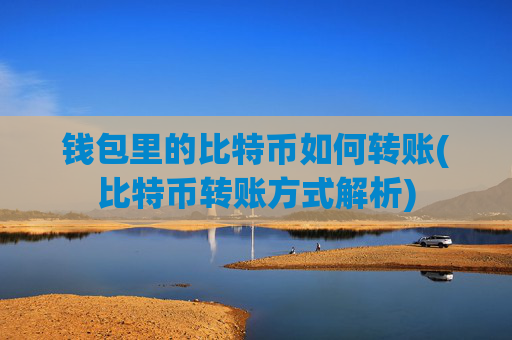 钱包里的比特币如何转账(比特币转账方式解析)