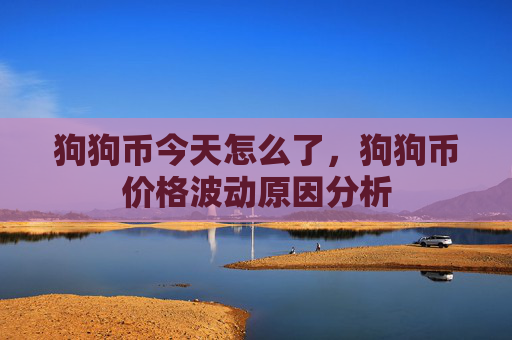 狗狗币今天怎么了,狗狗币价格波动原因分析