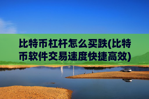 比特币杠杆怎么买跌(比特币软件交易速度快捷高效)