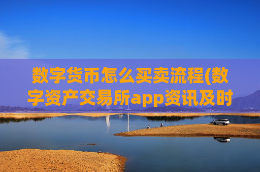 数字货币怎么买卖流程(数字资产交易所app资讯及时)
