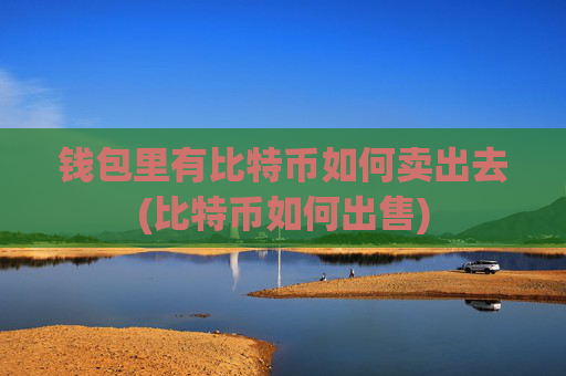 钱包里有比特币如何卖出去(比特币如何出售)