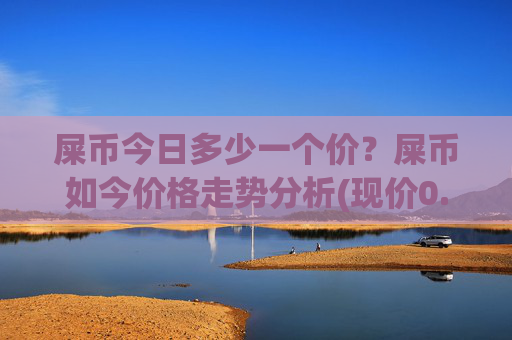 屎币今日多少一个价?屎币如今价格走势分析(现价0.000158元)