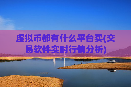 虚拟币都有什么平台买(交易软件实时行情分析)