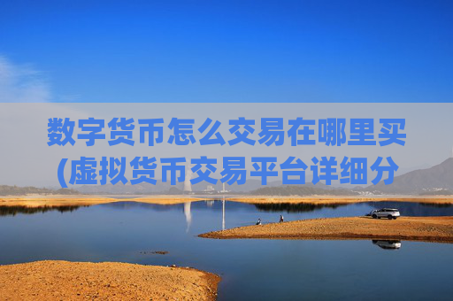 数字货币怎么交易在哪里买(虚拟货币交易平台详细分析)