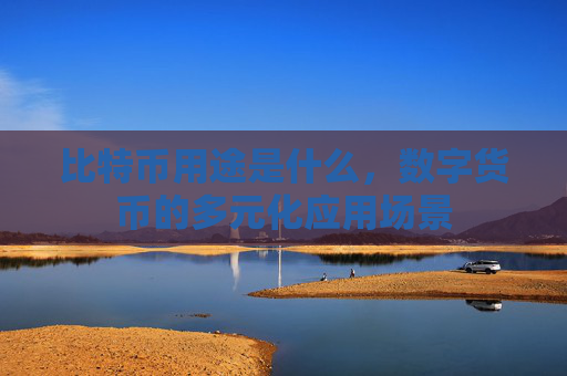 比特币用途是什么,数字货币的多元化应用场景