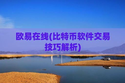 欧易在线(比特币软件交易技巧解析)