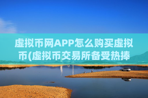 虚拟币网APP怎么购买虚拟币(虚拟币交易所备受热捧)