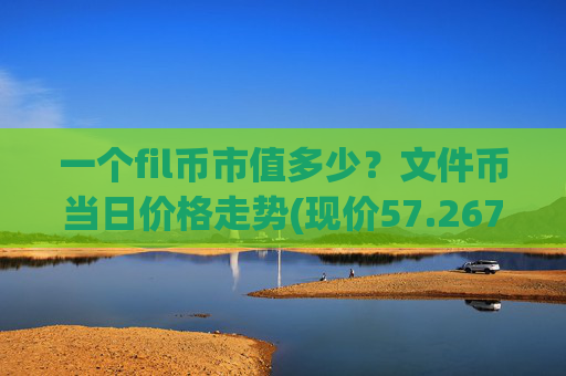 一个fil币市值多少？文件币当日价格走势(现价57.2677元)