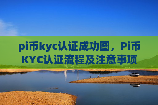 pi币kyc认证成功图，Pi币KYC认证流程及注意事项