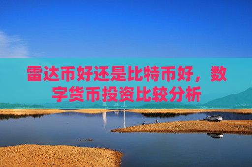 雷达币好还是比特币好,数字货币投资比较分析