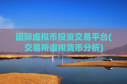 国际虚拟币投资交易平台(交易所虚拟货币分析)