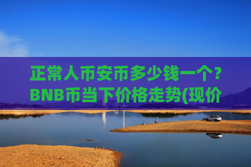 正常人币安币多少钱一个?BNB币当下价格走势(现价5192.47元)