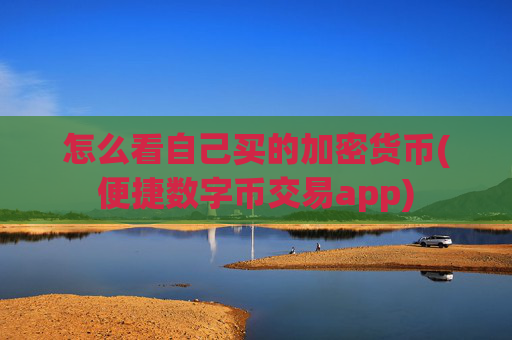 怎么看自己买的加密货币(便捷数字币交易app)