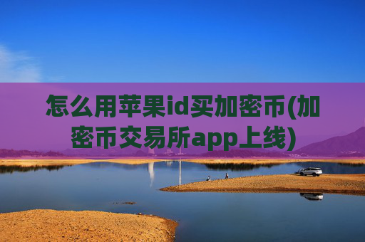 怎么用苹果id买加密币(加密币交易所app上线)