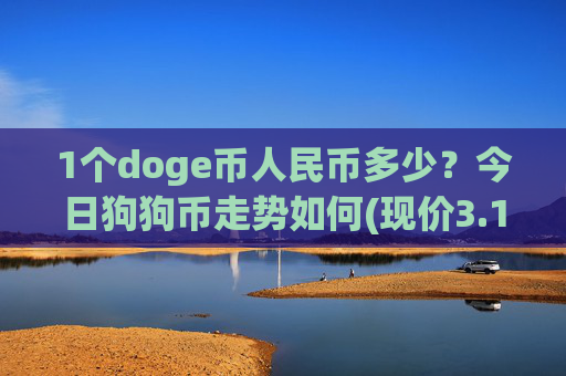 1个doge币人民币多少?今日狗狗币走势如何(现价3.1656元)