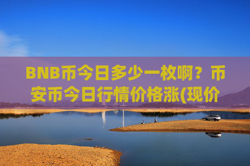 BNB币今日多少一枚啊?币安币今日行情价格涨(现价5180.5元)