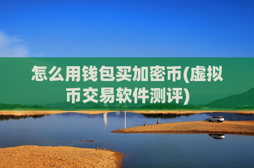 怎么用钱包买加密币(虚拟币交易软件测评)