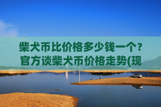 柴犬币比价格多少钱一个?官方谈柴犬币价格走势(现价0.00022365元)