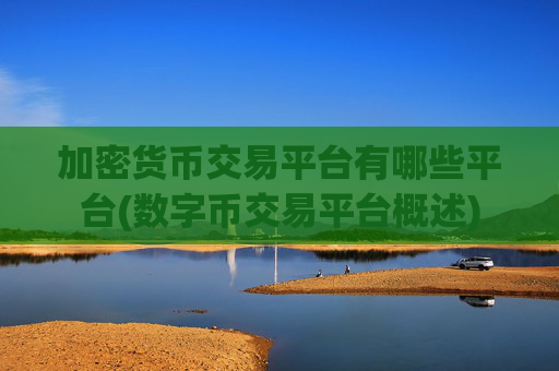 加密货币交易平台有哪些平台(数字币交易平台概述)