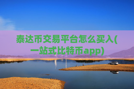 泰达币交易平台怎么买入(一站式比特币app)