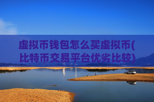 虚拟币钱包怎么买虚拟币(比特币交易平台优劣比较)