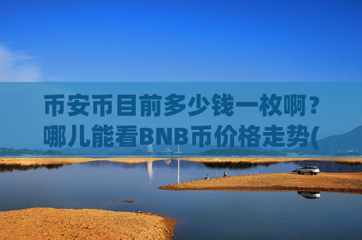 币安币目前多少钱一枚啊？哪儿能看BNB币价格走势(现价5175.93元)