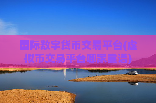 国际数字货币交易平台(虚拟币交易平台哪家靠谱)