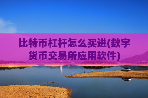 比特币杠杆怎么买进(数字货币交易所应用软件)