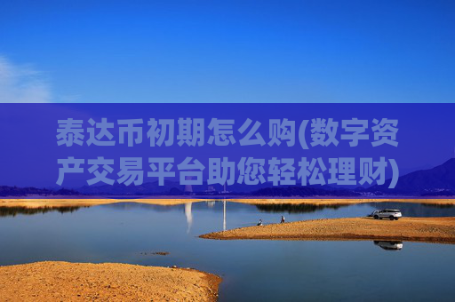泰达币初期怎么购(数字资产交易平台助您轻松理财)