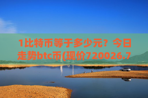 1比特币等于多少元？今日走势btc币(现价720026.75元)