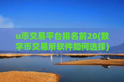 u币交易平台排名前20(数字币交易所软件如何选择)