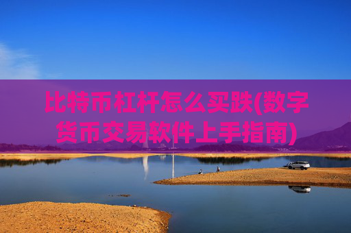 比特币杠杆怎么买跌(数字货币交易软件上手指南)