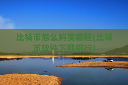 比特币怎么购买教程(比特币软件下载排行)