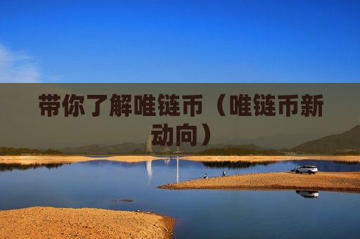 带你了解唯链币(唯链币新动向)