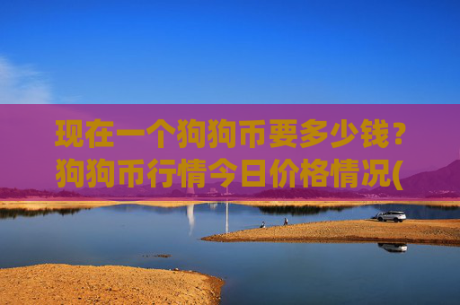 现在一个狗狗币要多少钱?狗狗币行情今日价格情况(现价3.1321元)