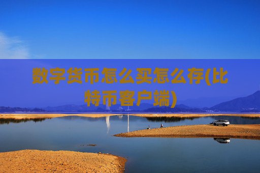数字货币怎么买怎么存(比特币客户端)
