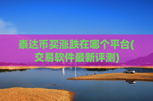 泰达币买涨跌在哪个平台(交易软件最新评测)