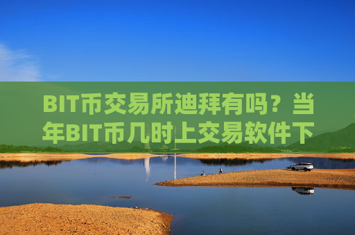 BIT币交易所迪拜有吗？当年BIT币几时上交易软件下载
