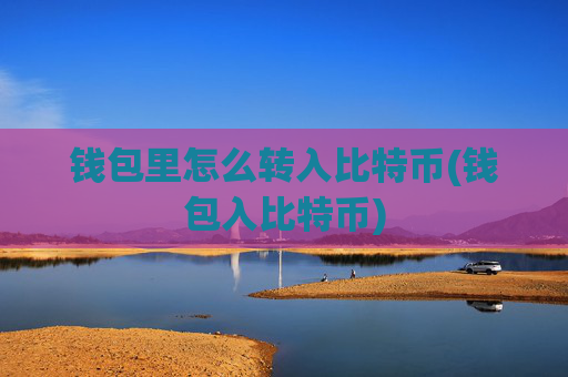 钱包里怎么转入比特币(钱包入比特币)