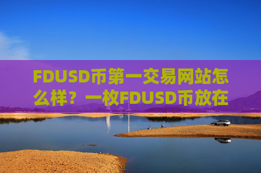 FDUSD币第一交易网站怎么样?一枚FDUSD币放在交易软件